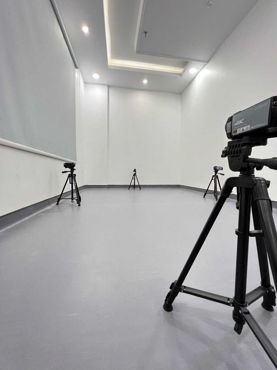 Motion Analysis